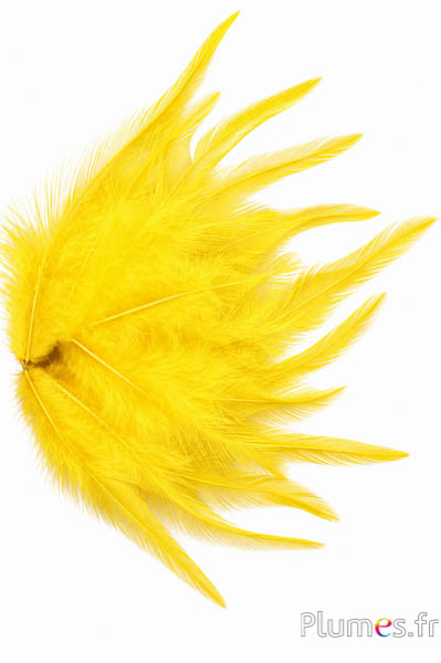 Haan - 8-12 cm - geel